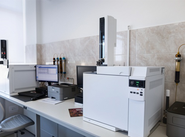 Gas Chromatograph