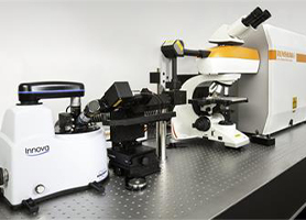 Custom Raman solutions