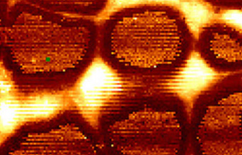 Park nano-IR Spectroscopy