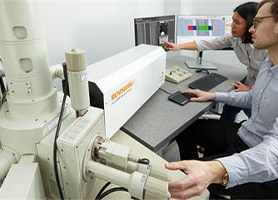 SEM-Raman system - Raman + SEM