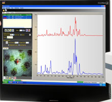 Forensic Raman Spectroscopy